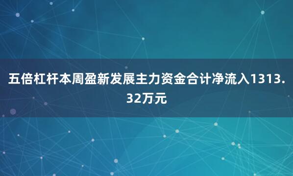 五倍杠杆本周盈新发展主力资金合计净流入1313.32万元