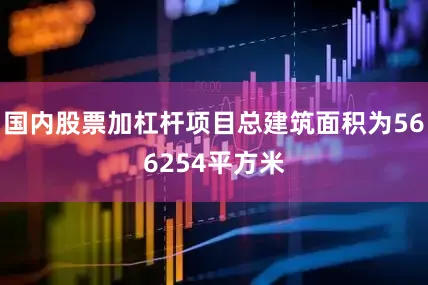 国内股票加杠杆项目总建筑面积为566254平方米