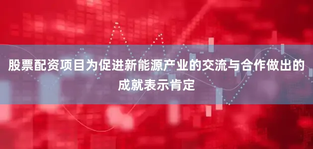 股票配资项目为促进新能源产业的交流与合作做出的成就表示肯定