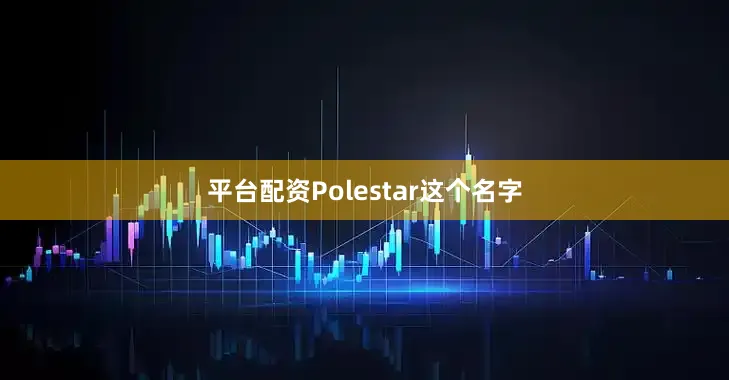 平台配资Polestar这个名字