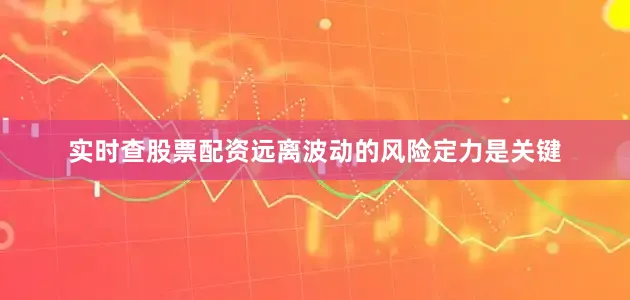 实时查股票配资远离波动的风险定力是关键